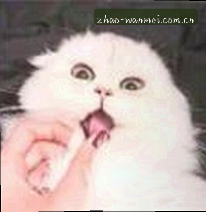 陈先生